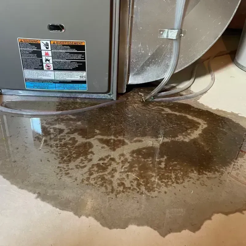 Appliance Leak Cleanup in Matheny, CA